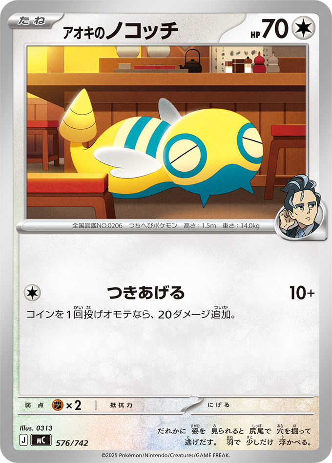 アオキのノコッチ